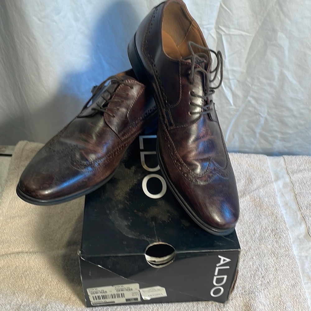 COPY - Aldo mens”praodia” shoe
